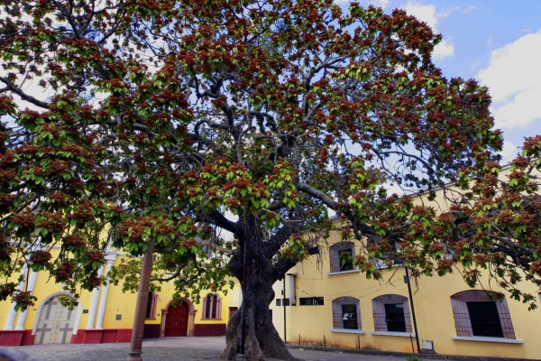 El Barrio Abajo, recinto antiguo y cuna cultural de la capital del país