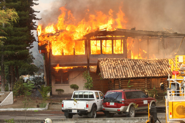 Voraz incendio reduce a cenizas del Instituto de Conservación Forestal