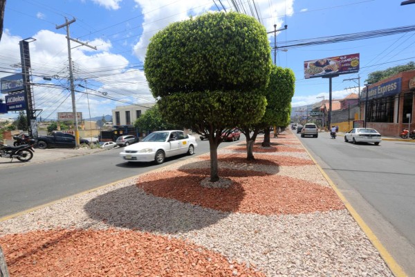 Avanza recuperación de espacios públicos