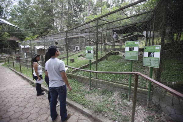 Disfrute del turismo local que ofrece el Distrito Central