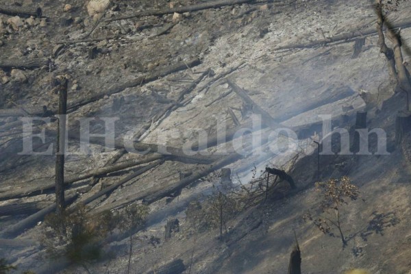 Por aire y tierra combaten el incendio en El Hatillo
