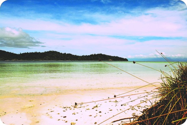 Los Catrachistes: Para morirse de la risa