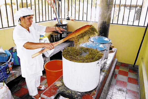 Procesan y envasan medicina natural para pacientes pobres