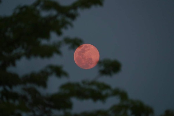 Las espectaculares imágenes que nos deja la Superluna rosa