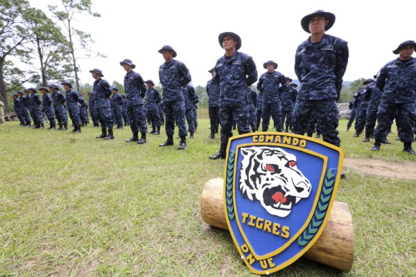 TIGRES protegerá el transporte