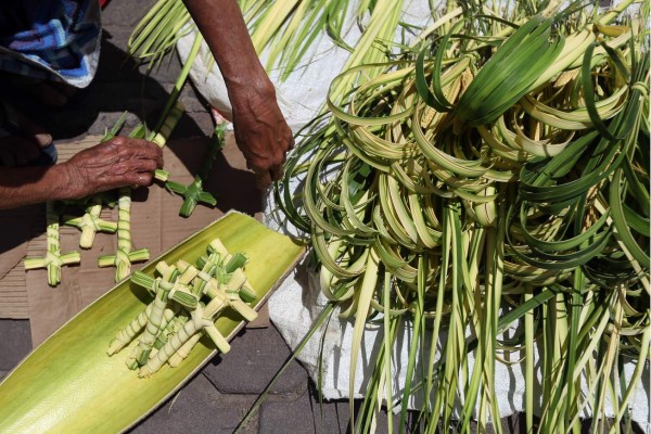 Estos son los precios de las palmas de coyol para procesión de Domingo de Ramos