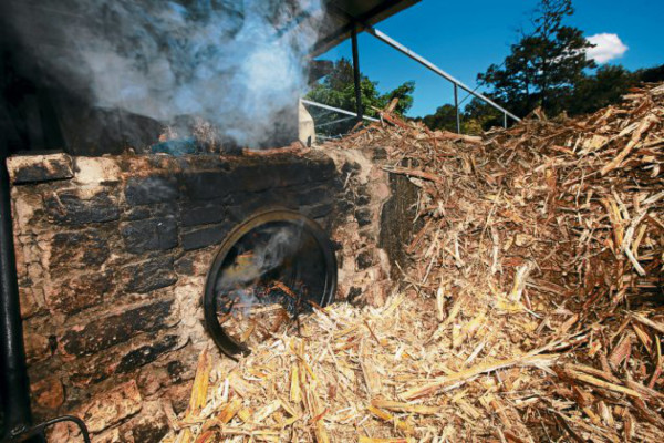 Los manos talangueñas que endulzan la Navidad
