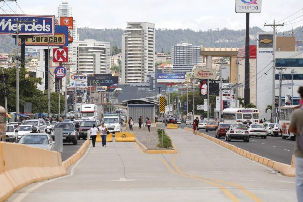Ricardo Álvarez abierto a que la Maccih investigue el Trans 450