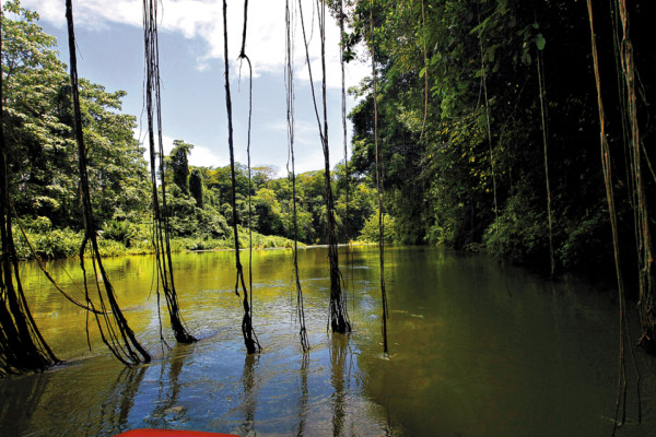 Un reino natural impresionante