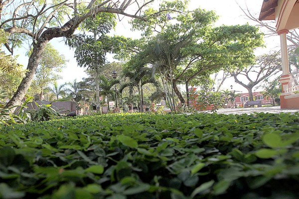 FOTOS: Esplendor de Olancho