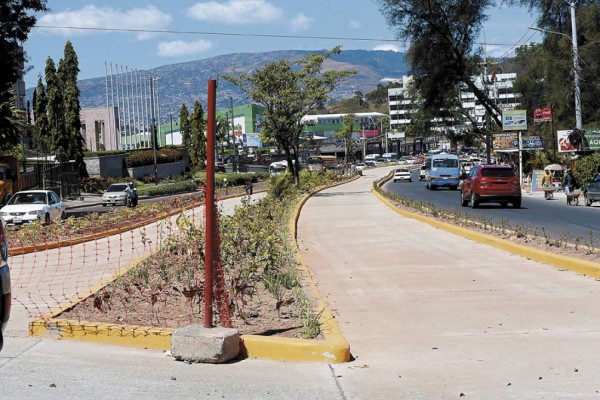 Vehículos particulares usarían el Trans450