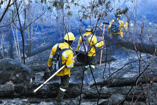 Más de 100 hectáreas reducidas a cenizas en siniestro en El Hatillo