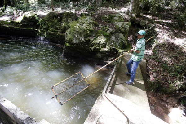 Gobierno pretende controlar reserva biológica de La Tigra