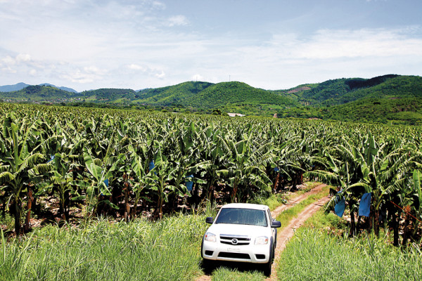 Al menos 200 efectivos buscan a Aníbal Barrow