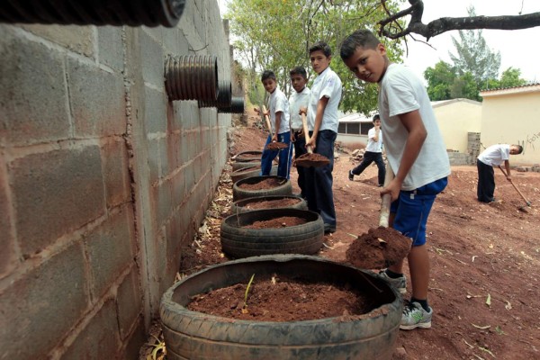 La escuela más amigable con el ambiente es.....