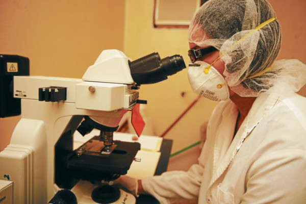 En riesgo estudios veterinarios y creación de vacuna antirrábica