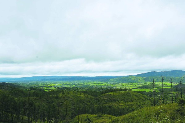 Panelas para endulzar la vida y cuidar el ambiente