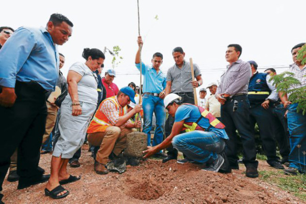 Cierran por tres meses carril hacia mall Multiplaza