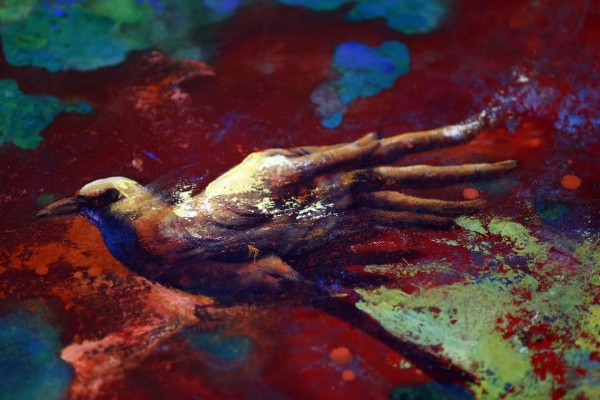 'Simbiosis”, un espacio de diálogo y respeto de Santos Arzú y Armando Lara