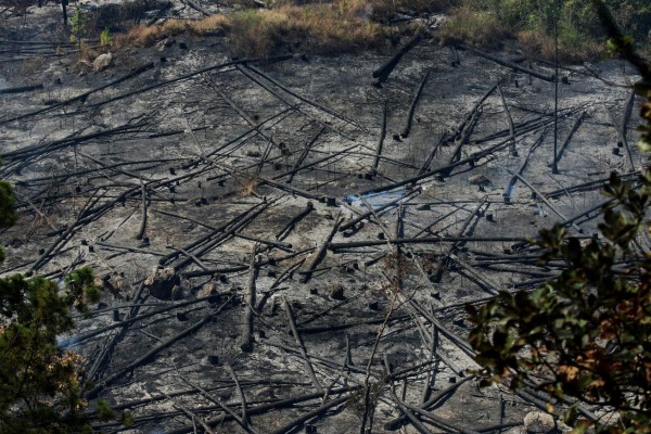 Honduras: Incendio daña 420 hectáreas de bosque en El Hatillo