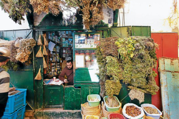 Túnez después de su primavera árabe