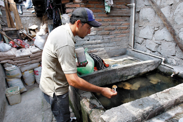 Auditoría no halla L 50 millones del Programa Nacional de Dengue