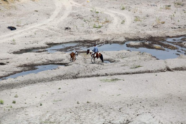 Honduras: Con desesperación, pobladores luchan contra sequía