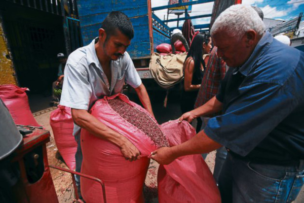 Quintal de frijoles rojos sube 100 lempiras en mercados