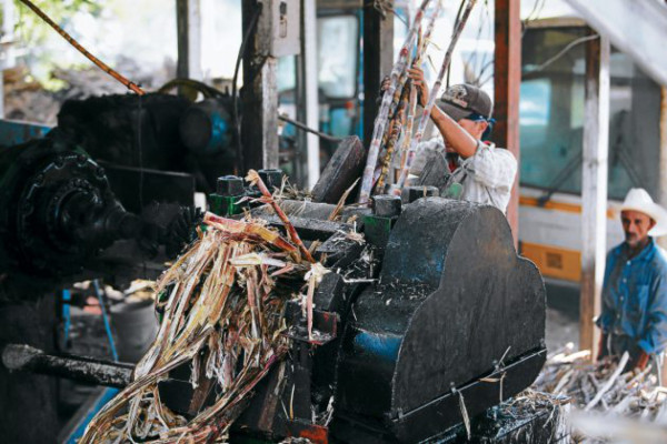 Los manos talangueñas que endulzan la Navidad