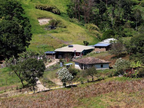 a sequía amenaza la producción de Lepaterique, municipio que abastece mercados de Tegucigalpa y otras zonas con verduras, granos y café.