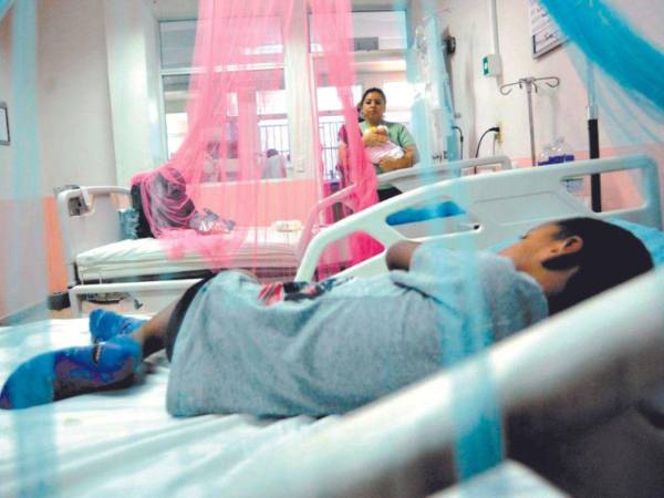 El Hospital Escuela reporta 240 hospitalizados por dengue en 2025; el 85% son niños y adolescentes de 5 a 17 años, principalmente de colonias capitalinas.