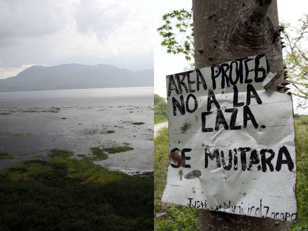EL HERALDO realizó un recorrido por el Lago de Yojoa y constató la amenaza que sufre el área protegida a causa de los invasores, deforestación y otros factores.