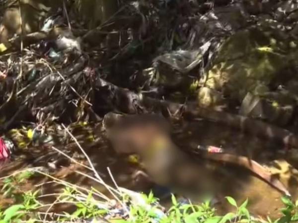 El Cuerpo de Bomberos rescató el cuerpo del menor en la quebrada El Zancudo y lo entregó a las autoridades forenses.