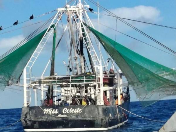 Las autoridades aseguraron una embarcación pesquera camaronera identificada como <b>Miss Celeste</b>, con bandera hondureña, así como una lancha rápida tipo <i>go fast</i>.