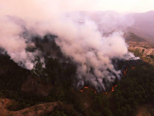 Los incendios en Honduras dejan más de 89 mil hectáreas dañadas. En la imagen se observa un siniestro en las montañas de Santa Lucía, cerca de la capital de Honduras.