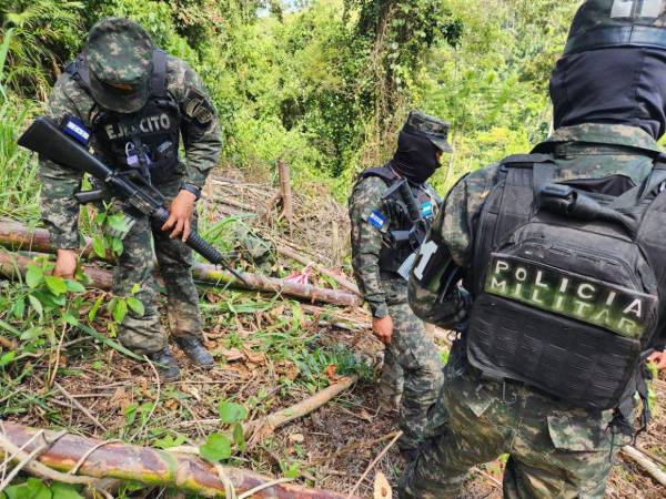 Efectivos de las Fuerzas Armadas de Honduras custodian la plantación encontrada en una montaña entre Olancho y El Paraíso.