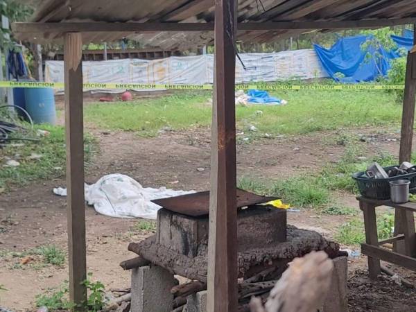 Mayo se convirtió en el más violento de este año, según datos del Sistema Estadístico Policial en Línea (Sepol) de la Secretaría de Seguridad y Francisco Morazán es el departamento más violento este año.