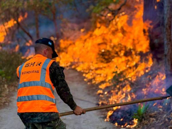 Los incendios forestales se convierten una amenaza para las fuentes de agua y causan severos daños a la flora y fauna. Los alcaldes se unen a la campaña para prevenir y atender los incendios a nivel nacional.