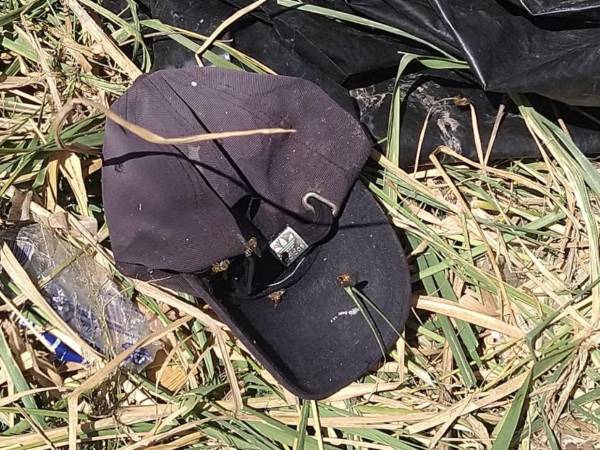 Personal del Cuerpo de Bomberos asistió a los empleados municipales atacados por abejas en las cercanías del mercado Perisur.