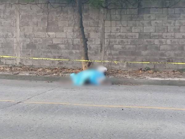 El cadáver presentaba varios signos de violencia, lo que refuerza la hipótesis de un hecho criminal.