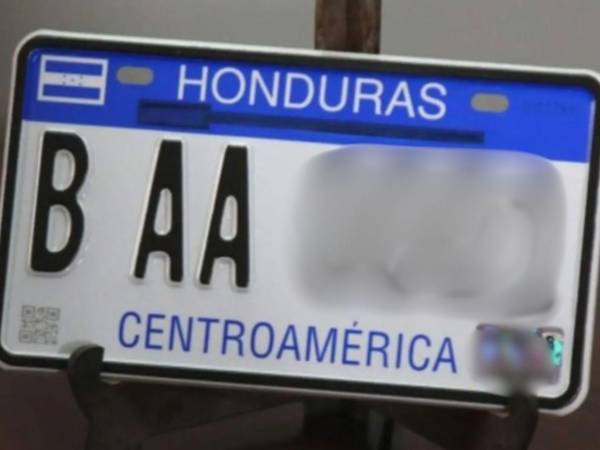 El director del IP destacó que resolver la falta de placas vehiculares es una necesidad imperiosa para el país ante los altos índices delictivos vinculados con automotores sin esos distintivos.