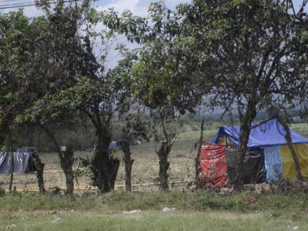 Miles de manzanas de tierra son invadidas por grupos criminales para robar y cometer actos ilicitos.