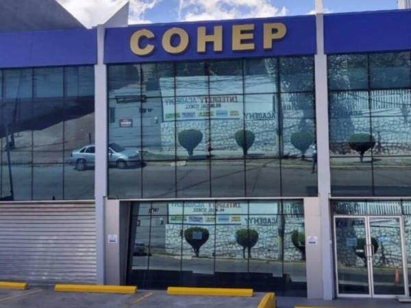 La presidenta del Cohep pidió al Congreso Nacional respetar la independencia de los órganos electorales y la voluntad expresada en las urnas.