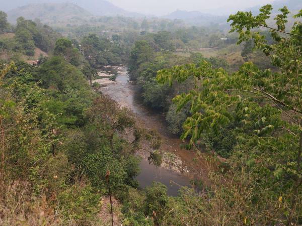 Árboles tirados y agarrando fuego, presencia de ganados y una capa de humo es visible en la zona núcleo de la Reserva de la Biosfera del Río Plátano, donde se evidencia la deforestación en la zona. Está acabando con los 33 ecosistemas terrestres y cinco marinos, donde habitan 721 especies de vertebrados, 586 especies de plantas, 411 especies de aves documentadas y 108 especies de reptiles y anfibios registrados. A continuación los detalles.