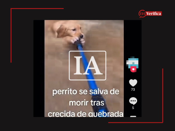 Captura de pantalla a una publicación de Tik Tok, hecha el 5 de octubre de 2026, adaptada a esta cartela