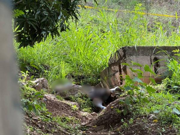 El cuerpo sin vida de Cristian Neptaly Hernández Lemus fue encontrado en un solar baldío de la la colonia Los Pinos, en Tegucigalpa.
