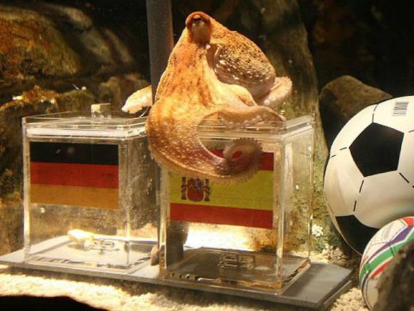 De los tentáculos de un pulpo, Paul, hemos pasado a los algoritmos de la inteligencia Artificial, superando el uso impulsivo de las apuestas deportivas para determinar históricamente al ganador de un Mundial, en un grupo de selecciones favoritas que hasta los aficionados más acérrimos darían por bueno.
