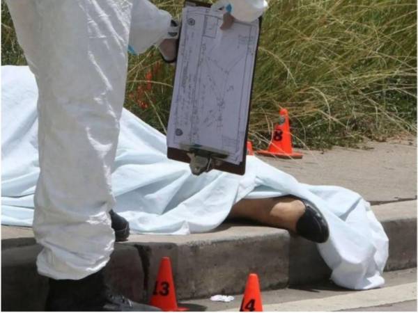 Entre 2019 y el 16 de junio de 2026, la institución contabilizó 2,904 muertes violentas de mujeres, un promedio superior a 360 casos por año.