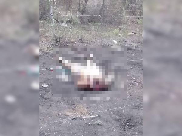 En una de las calles del cementerio fue encontrado el cuerpo de la mujer.