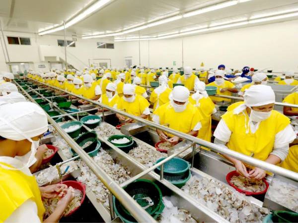 La recuperación de la industria también depende de nuevas inversiones. Los productores señalan que necesitan mejorar la productividad y la implementación de nuevas tecnologías.